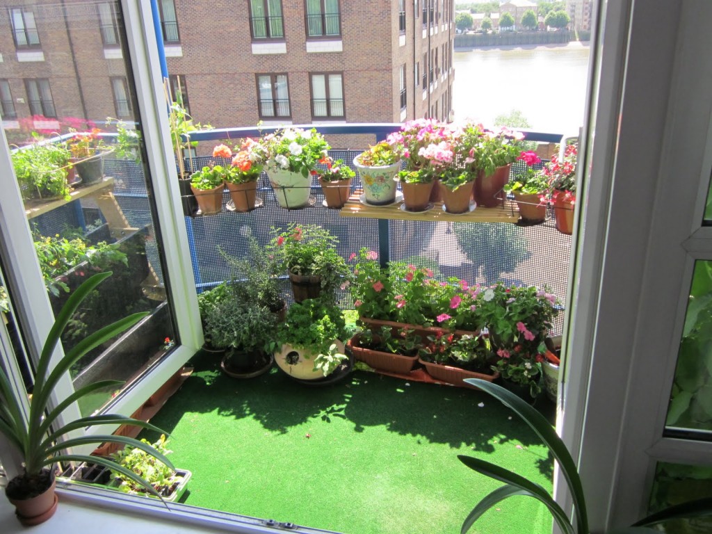 balcony garden