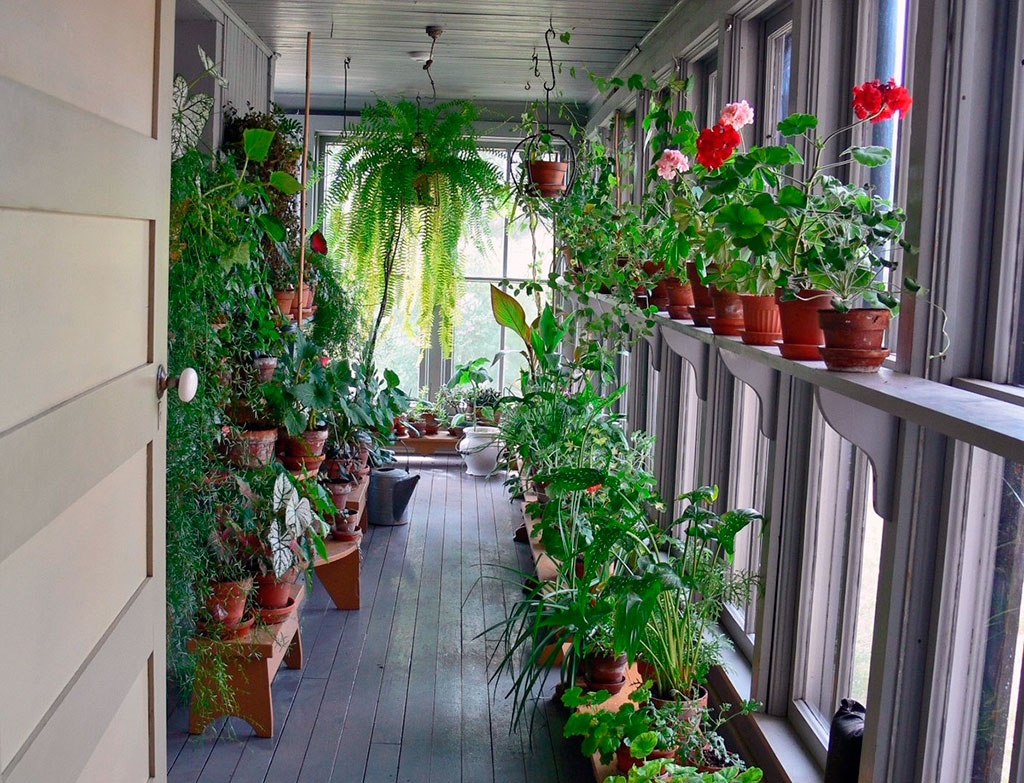 winter garden on the balcony