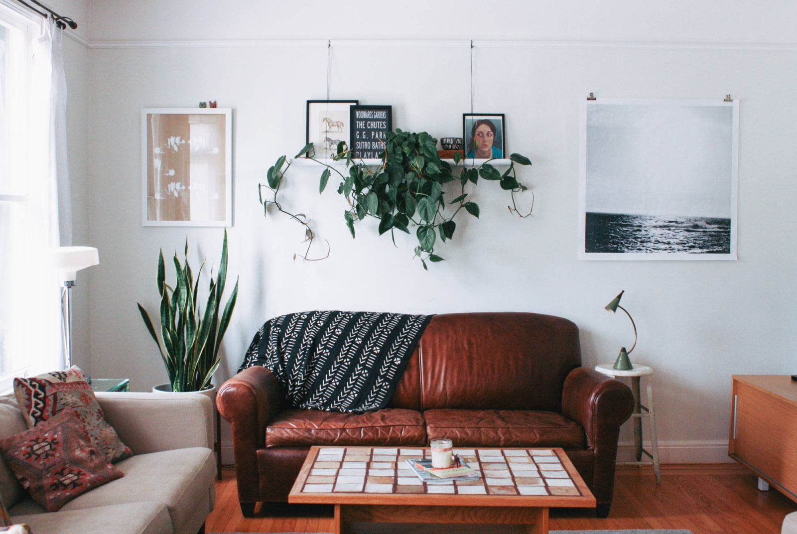 indoor plants over the sofa