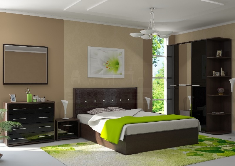 bedroom interior with dark furniture