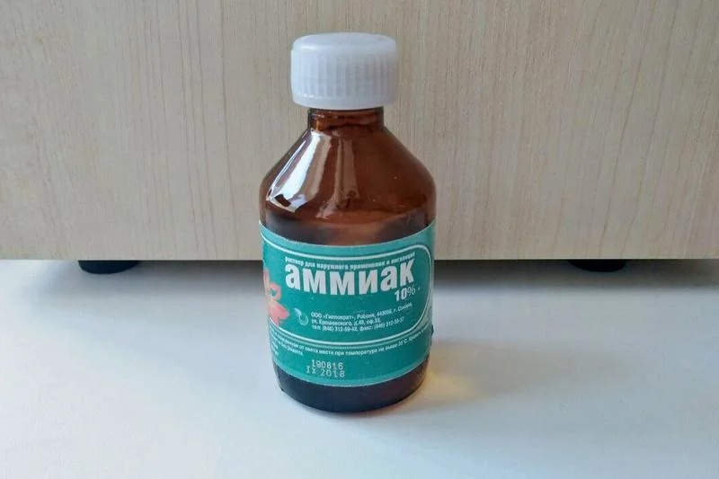 ammonia