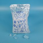 ice pack