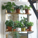 wooden shelf for flowers