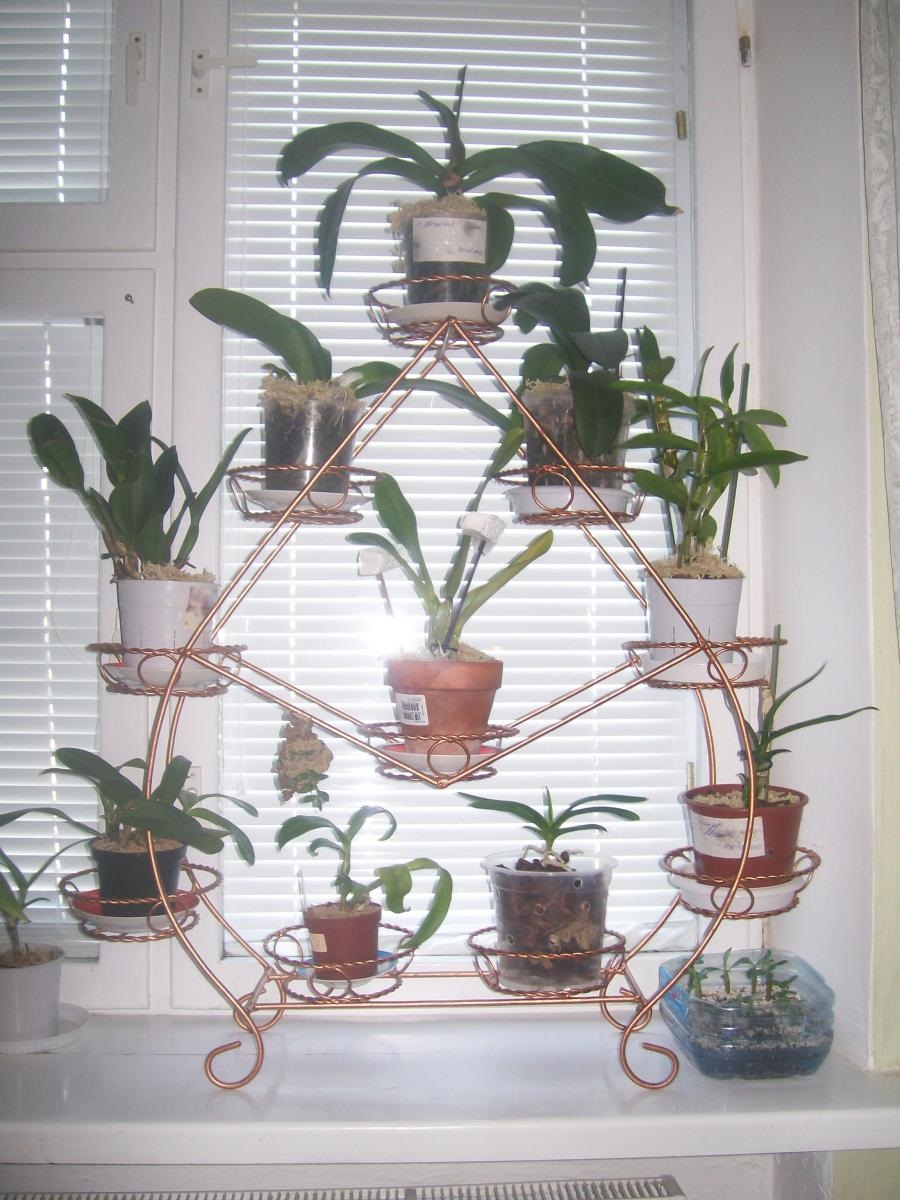 use of shelves on the windowsill