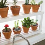 shelf for flowers in the kitchen