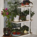 shelf for flowers corner