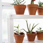 shelf for flowers brown pots