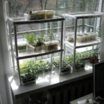 glass shelf for flowers