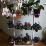 three-story flower shelf