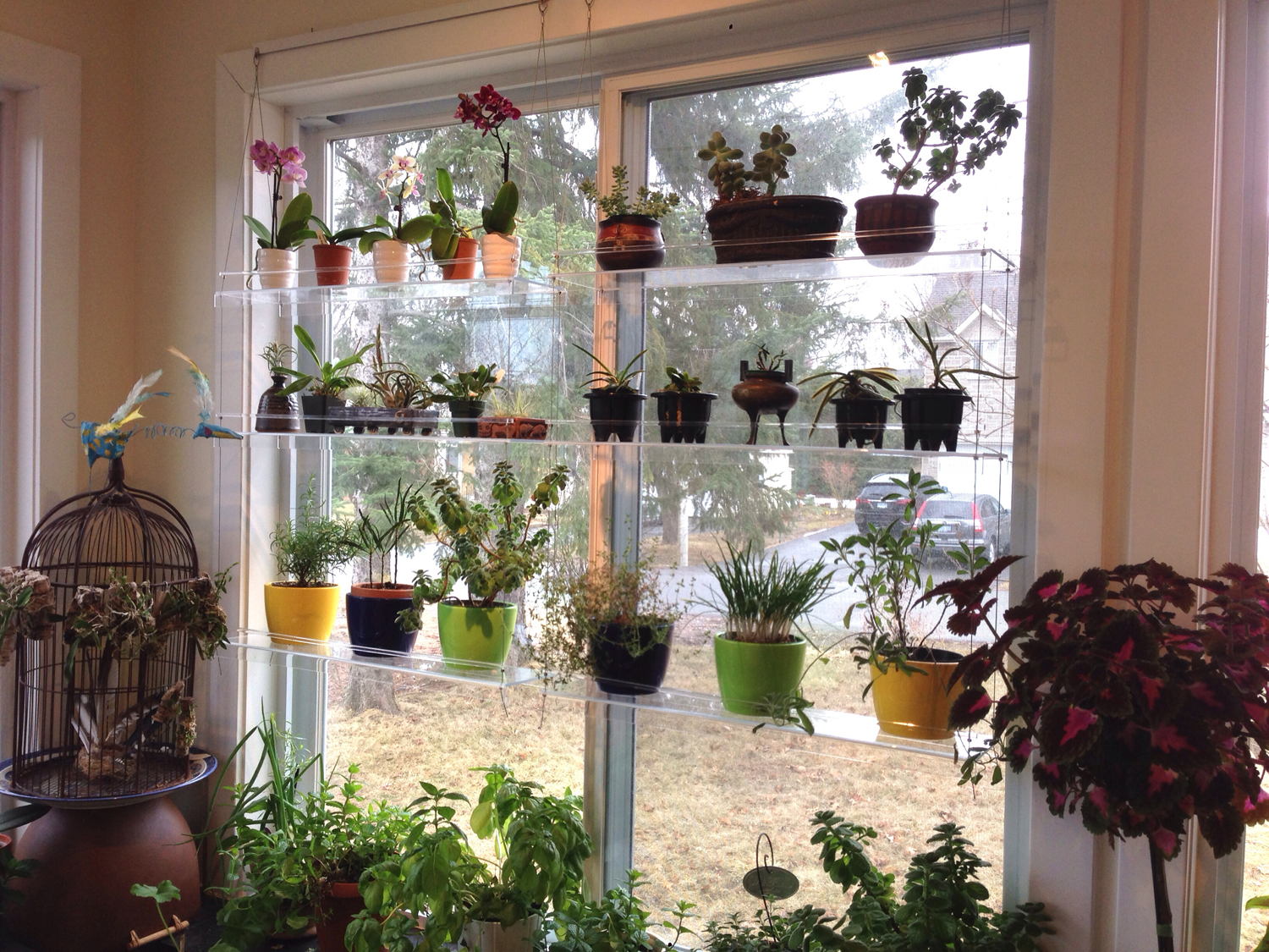 hanging shelves from above