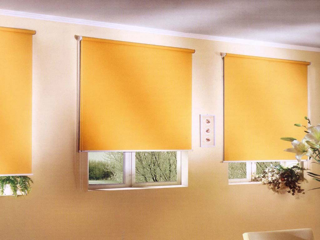 fabric blinds