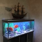 low aquarium stand