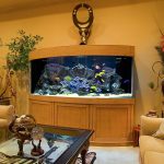 semicircular stand for aquarium