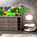 piédestal pour un aquarium dans la maison