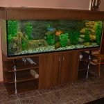 stand under the aquarium in the house