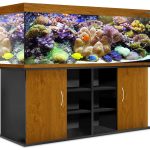 piédestal pour un aquarium dans l'appartement