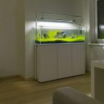 pedestal for an aquarium in an apartment