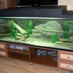 beautiful aquarium stand