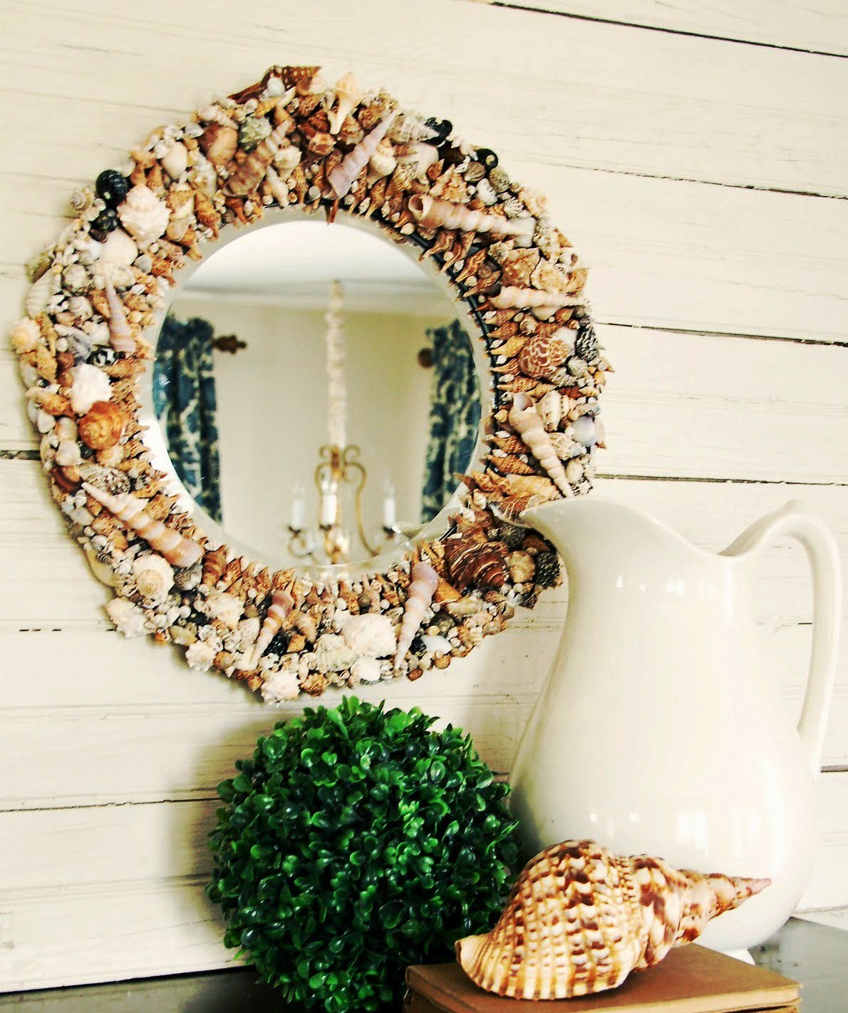 décor miroir coquilles