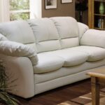 eco-leather sofas types of photos