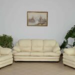 sofa in the living room white set