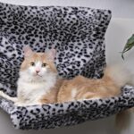 chaise longue pour chat leo