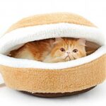 bed for cat