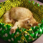 cat bed green