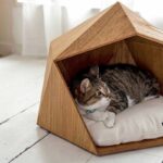 cat bed simple