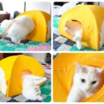 cat bed yellow