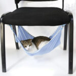 hamac de chaise longue pour chat