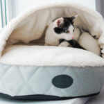 cat bed white