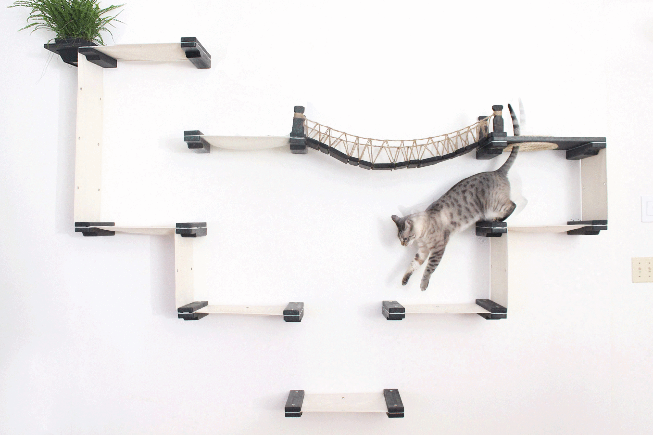 play wall shelves for cats online