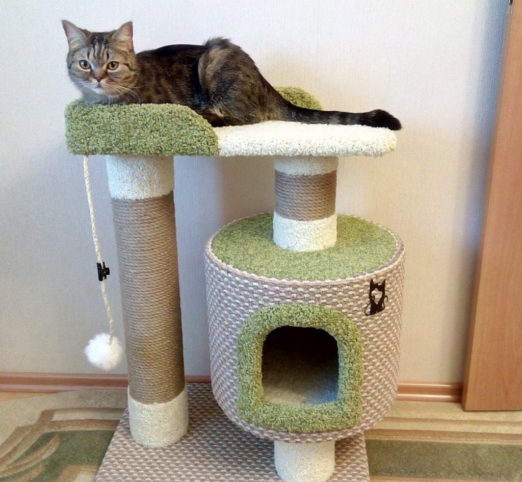 DIY scratching post