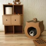 cardboard furniture design ideas