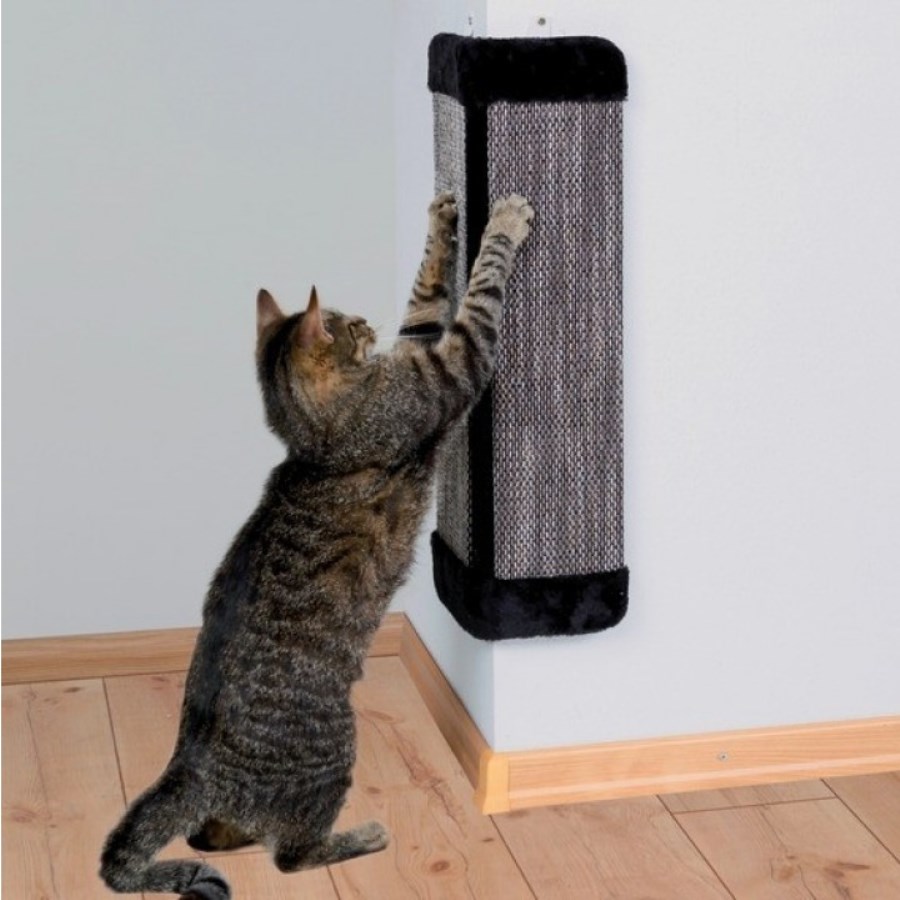 wall scratching post