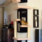 wall shelves for cats interior ideas