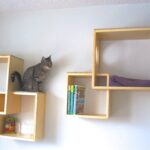 wall shelves for cats