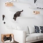 wall mounted shelves for cats design ideas