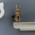 wall shelves for cats decor photo