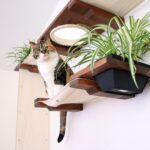 wall mounted shelves for cats decor ideas