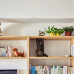 wall mounted shelves for cats interior