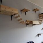 wall shelves for cats