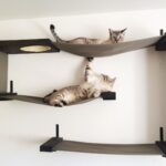 wall shelves for cats photo interior