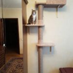 wall shelves for cats interior photos