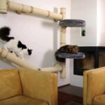 wall shelves for cats interior ideas