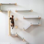 wall mounted shelves for cats decoration