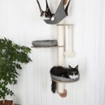 wall mounted shelves for cats decoration ideas