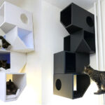 wall mounted cat shelves options