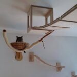 wall mounted shelves for cats ideas options